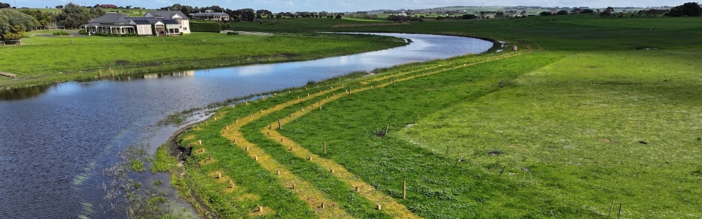 Image of trees planted on edge of the river with town in the background