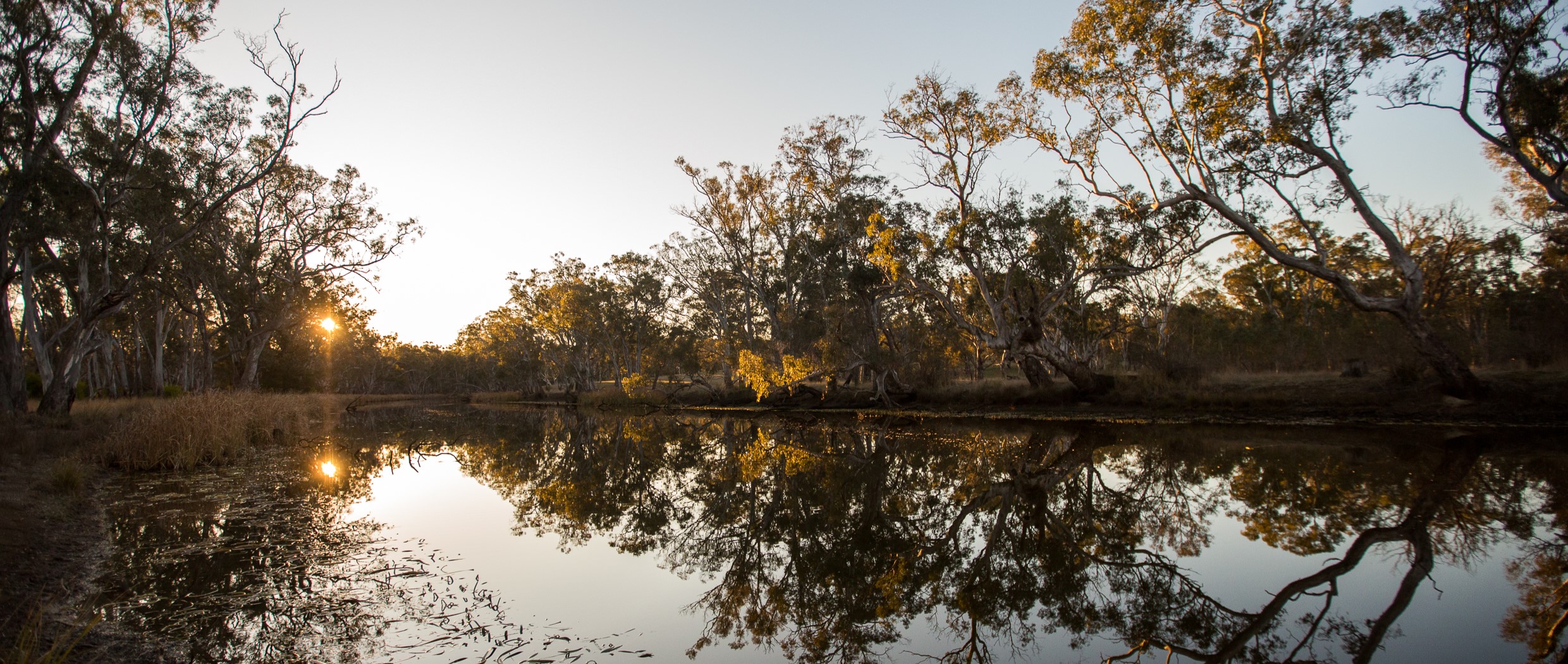 Glenelg river at sunrise