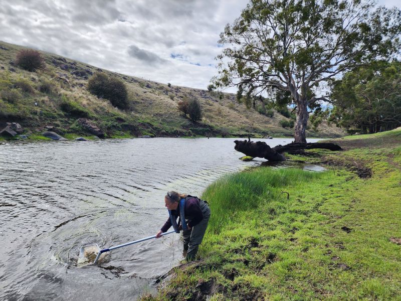 macroinvertebrate monitoring