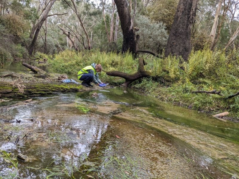 water quality testing